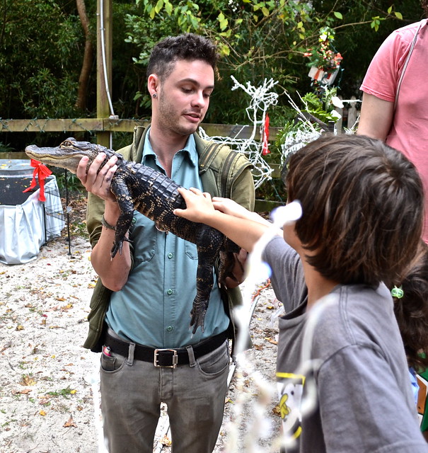 weeki wachee animal show