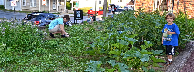 Organic Garden at fenicci's hershey pa 