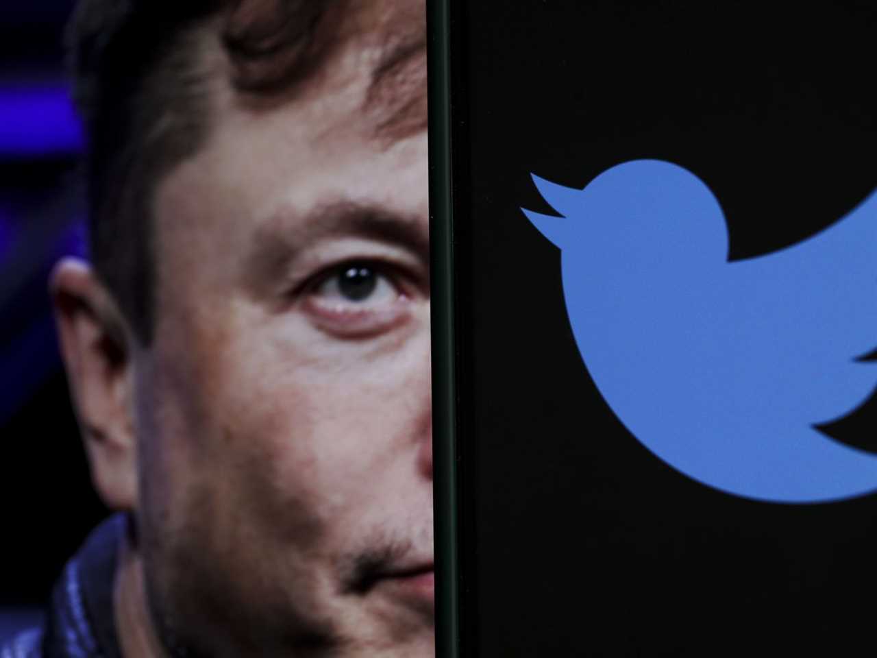 Elon Musk and Twitter