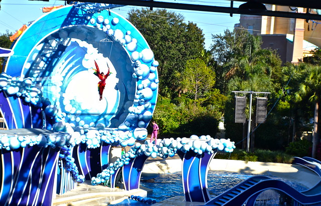 Sea World Orlando Florida - Dolphin acrobatic show