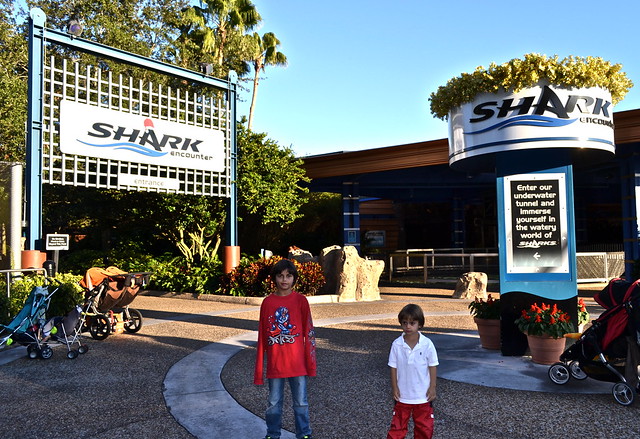 Sea World Orlando Florida - Shark Encounter