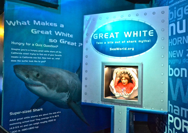 Sea World Orlando Florida - Eaten by a Great White