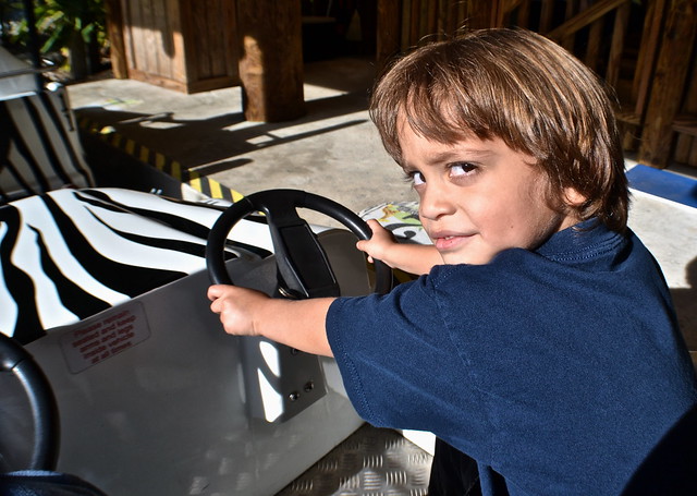 Legoland, Florida - safari car ride