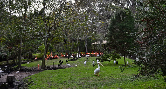 aviary at homosassa state park 