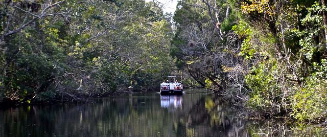 boat tour of Homosassa state park