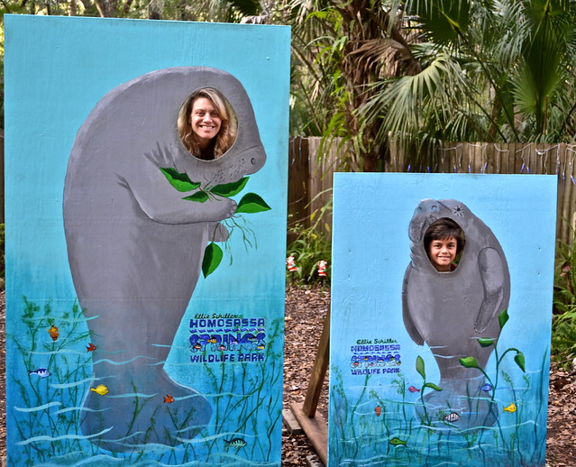 homosassa springs fun