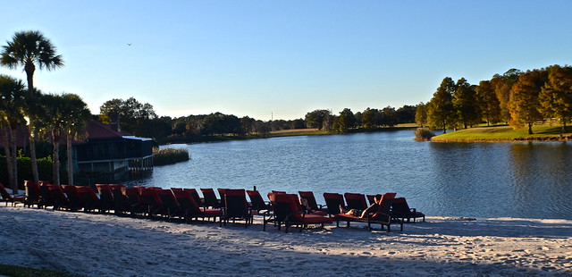 beach hyatt orlando