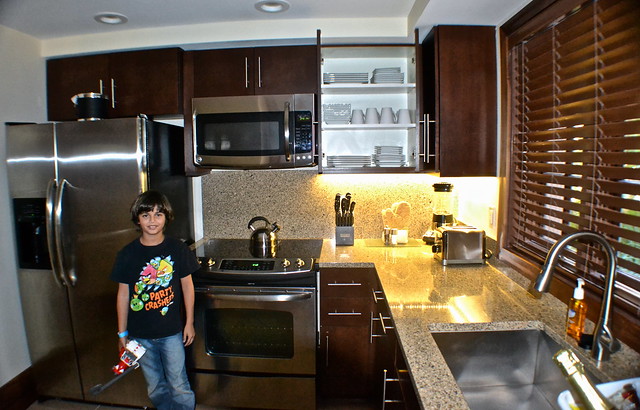 kitchen of a villa at grand cypress resort in orlando fl