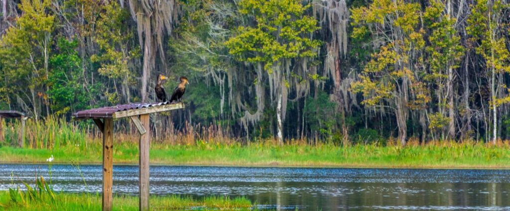 21 State Parks Near Orlando, FL that You Should Visit in 2023