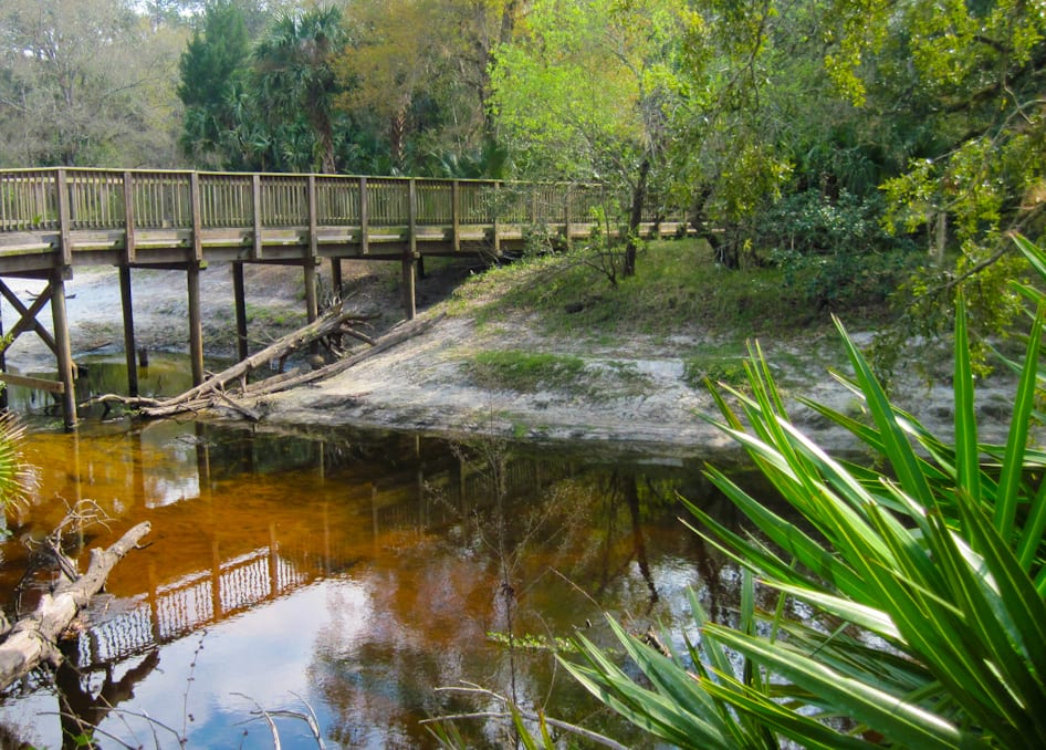 21 State Parks Near Orlando, FL that You Should Visit in 2023