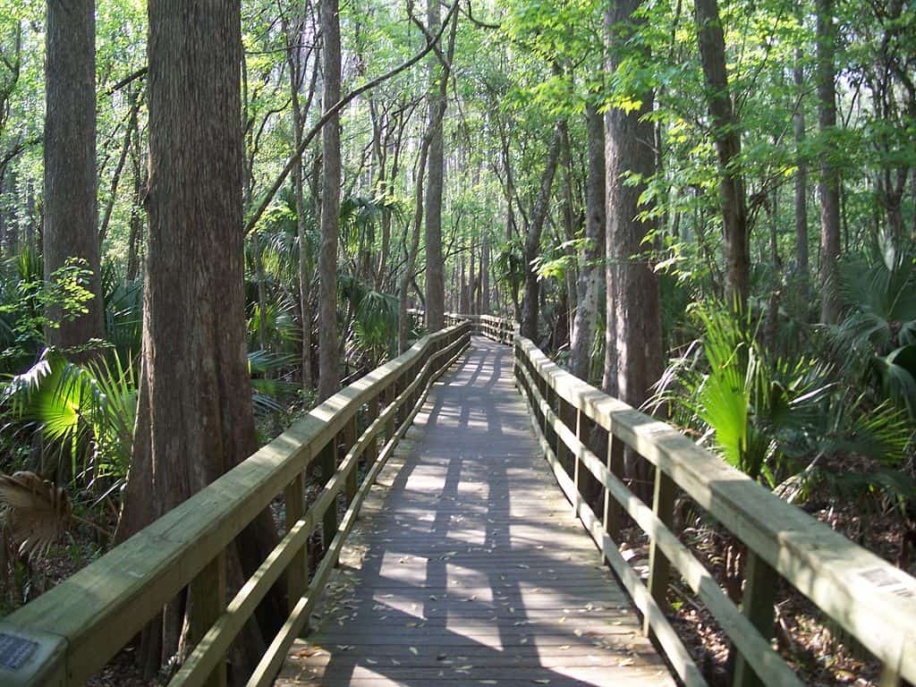 21 State Parks Near Orlando, FL that You Should Visit in 2023