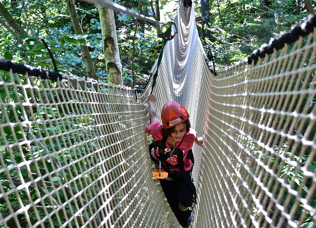 advanced obstacle at ArborTrek vermont