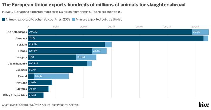 A bar chart of numbers of animals exported by the top 10 biggest exporting countries. The highest is Germany its 315 million animals exported to other EU nations and 8.9 million exported to non-EU nations, and lowest is Slovakia, with 36.3 million exported to EU nations and 981.7 thousand exported outside the EU.