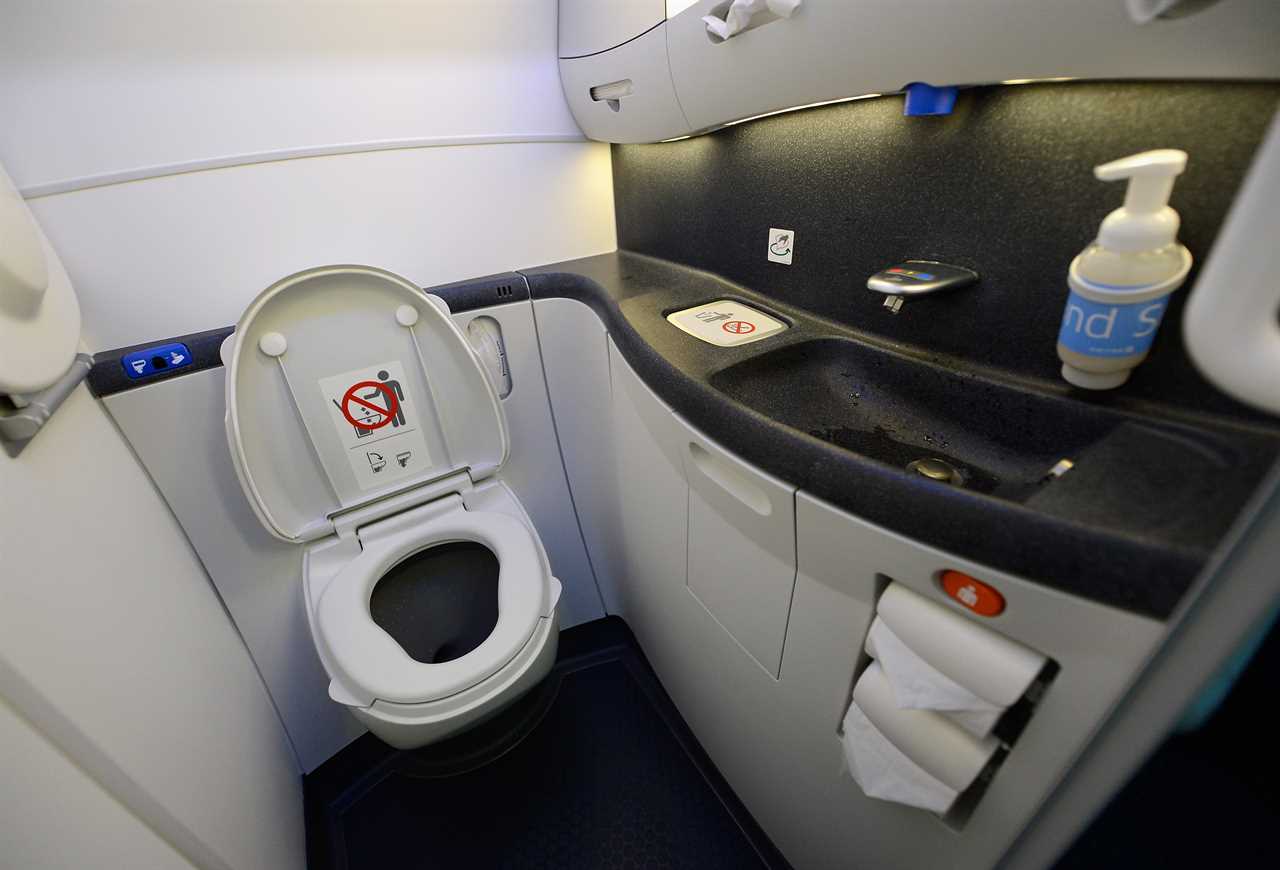 Airplane bathrooms are the next stop in the global search for new Covid varieties