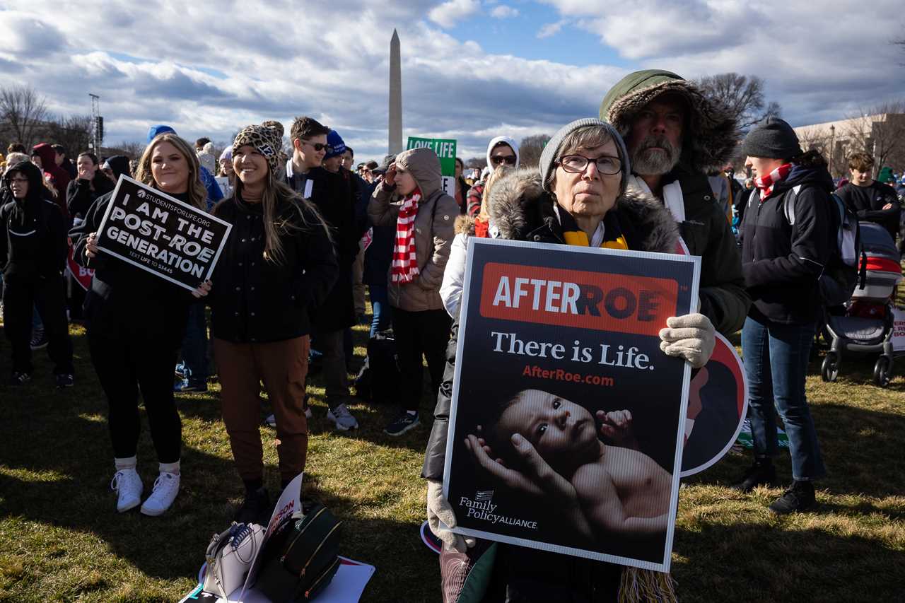 Abortion opponents at March for Life are now aiming at the next targets after Roe is over.