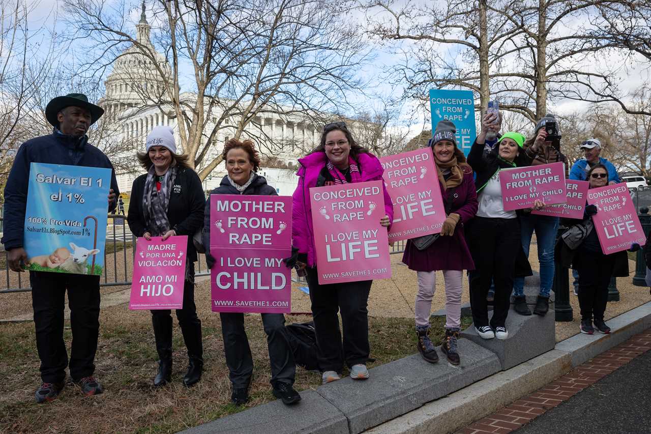 Abortion opponents at March for Life are now aiming at the next targets after Roe is over.