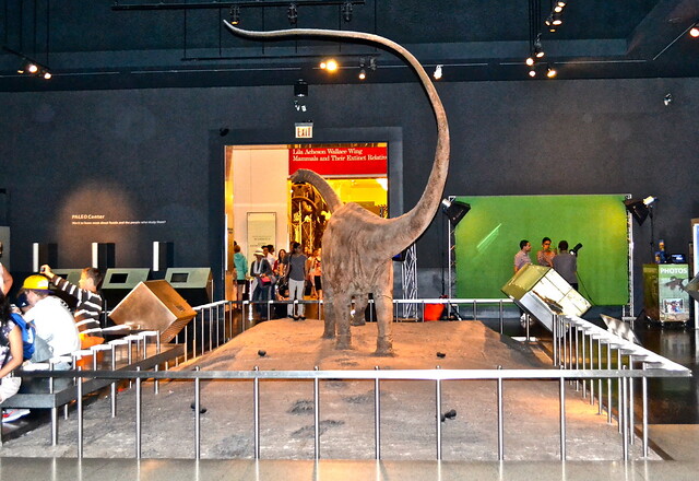 dinosaur exhibit at museum of natural history