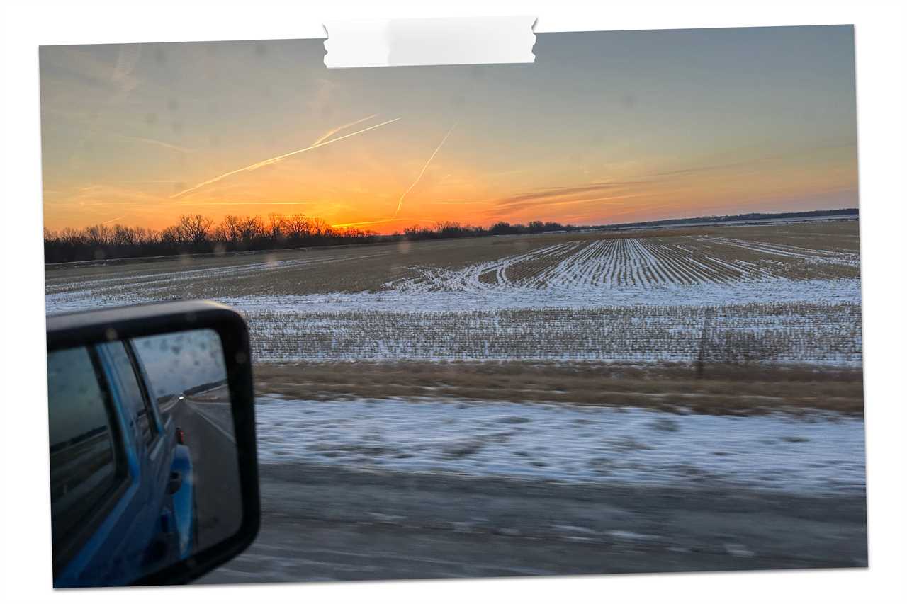 Iowa Winter: Is it Dead or Hibernating?