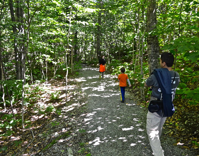 hiking - Stowe Mountain Lodge, Vermont