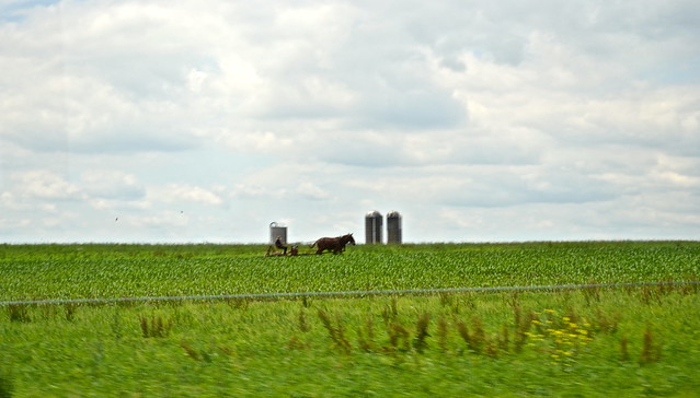 amish farm working the field in lancaster