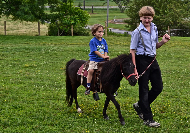 ride on a miniature horse farm lancaster pa 