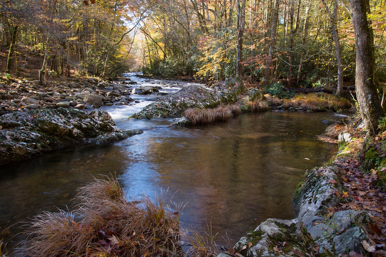 The Great Smoky Mountains National Park