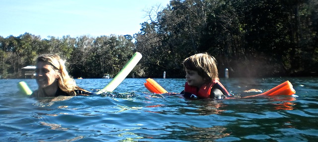 swim with manatee in crystal river