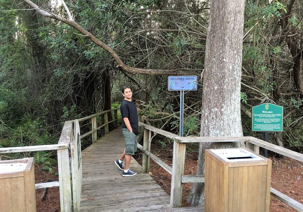 trails and long wetlands at innisbrook golf resort tampa