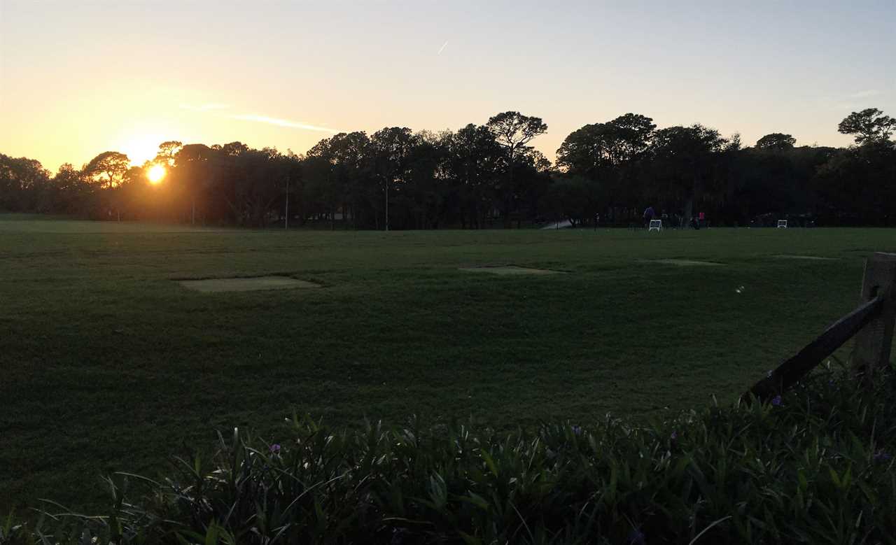 sunset at innisbrook golf resort tampa florida