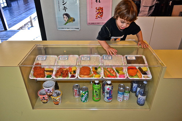 japanese food at a japanese botanical garden florida 