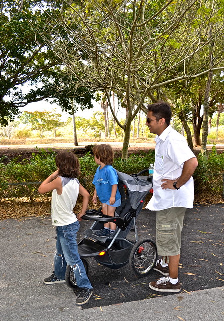 walking at he miami metro zoo fl