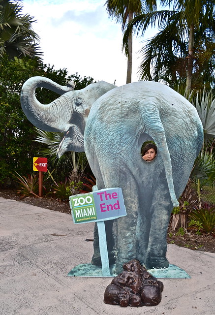 Miami Metro Zoo Review: Exhibits, Things to See and More