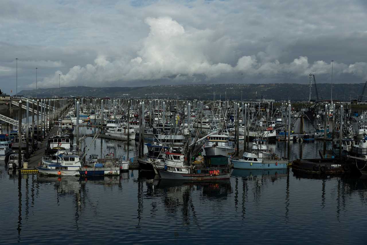 The Alaskan Fisheries are in a shambles. This Congresswoman Takes on the Industry, She Claims Is to Blame