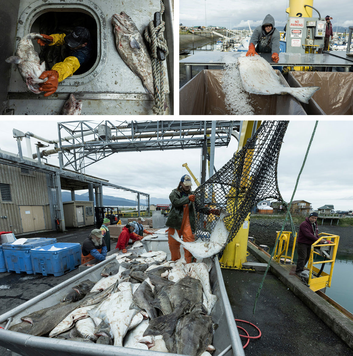 The Alaskan Fisheries are in a shambles. This Congresswoman Takes on the Industry, She Claims Is to Blame