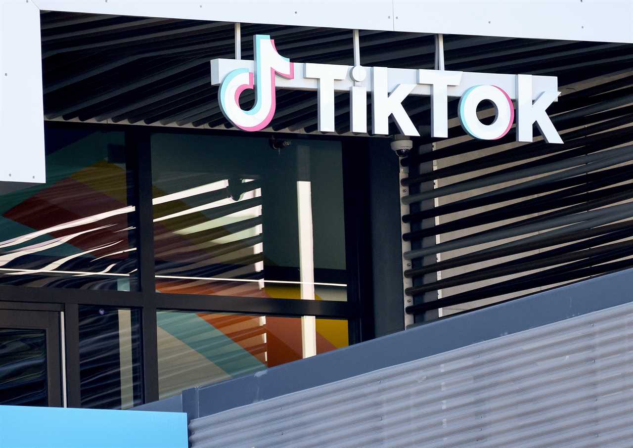 GOP passes TikTok ban bill despite objections from Dems