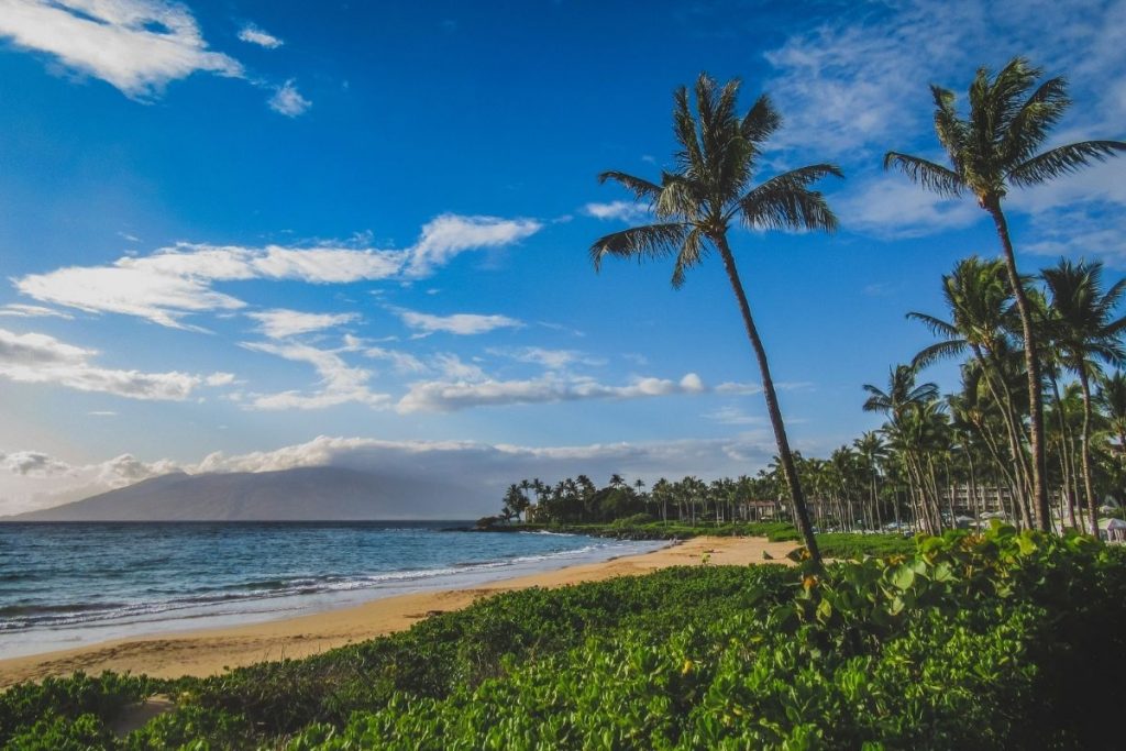 11 Best Beaches on HAWAII isLANDS to Visit in Spring 2023