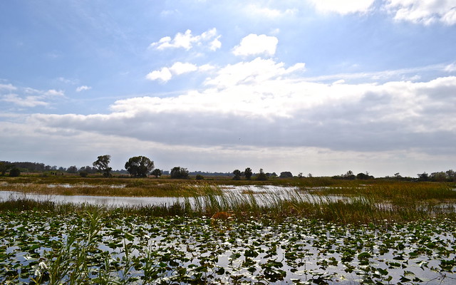 everglades west palm beach florida