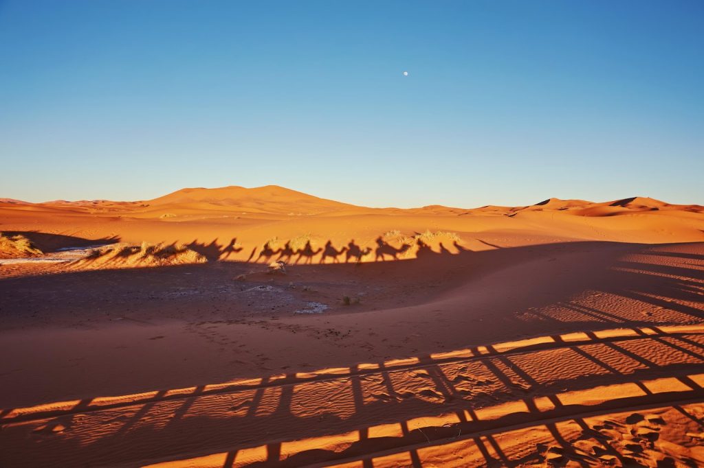 Shadows of people in camels on a desert in morrocco