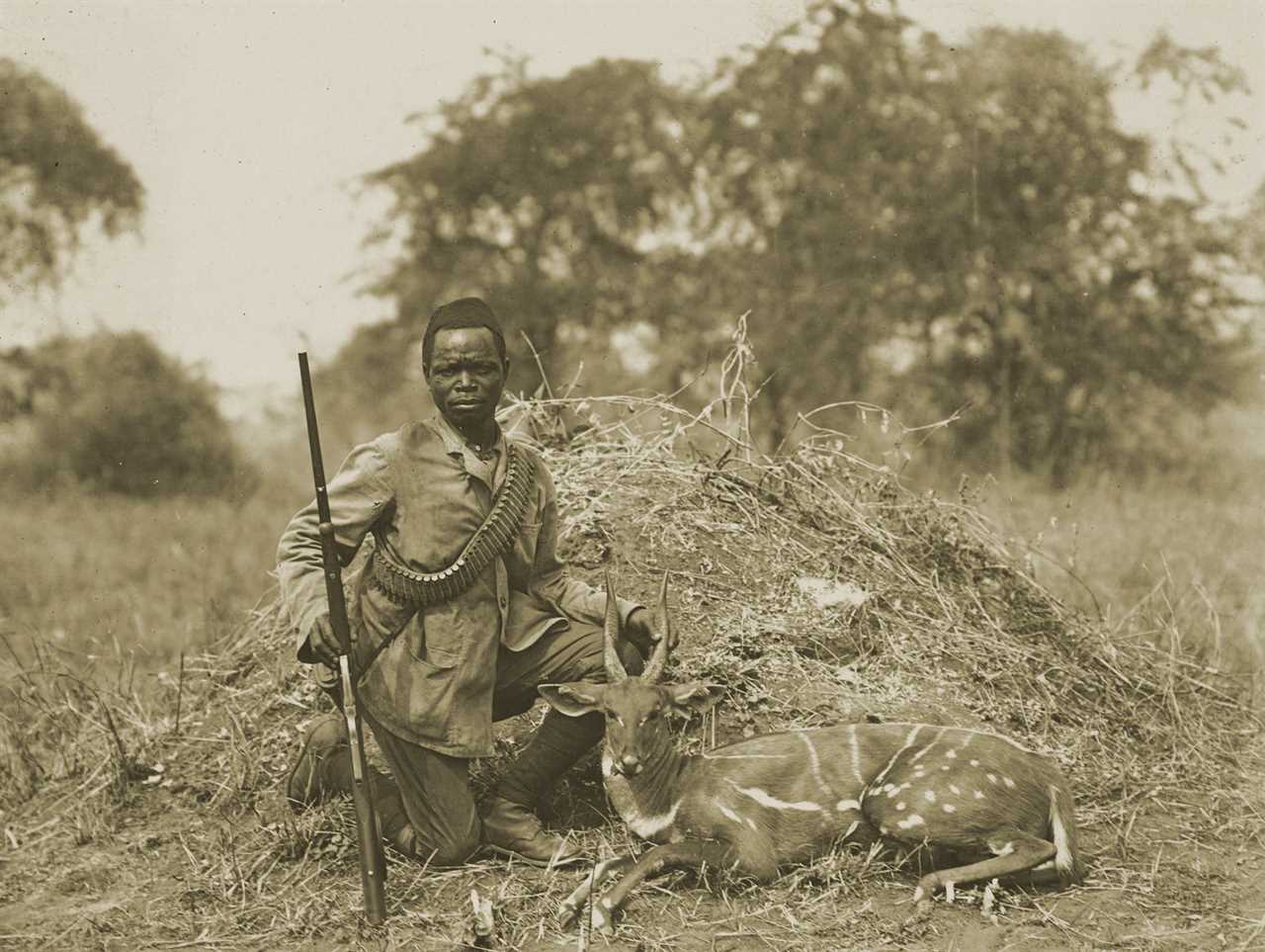 The Real Wakanda: The East African Kingdom and Theodore Roosevelt's Changes in American Democracy