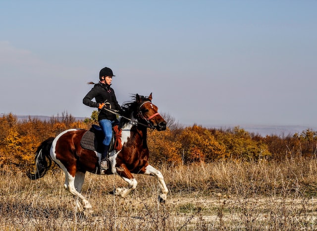 How to Prepare for a Horseback Riding Vacation