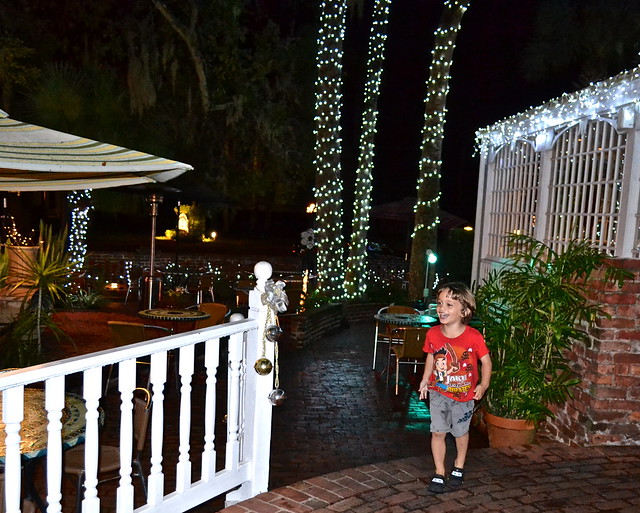 outdoor garden of raintree restaurant st.augustine florida 