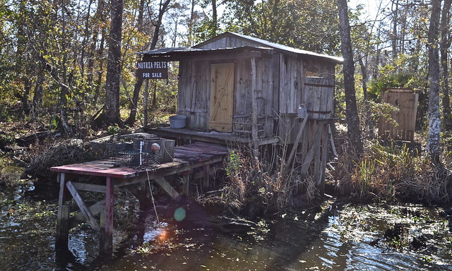 typical house on swamp - jean lafitte swamp tours