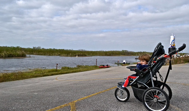 kid at the everglades in loxahatchee national wildlife refuge