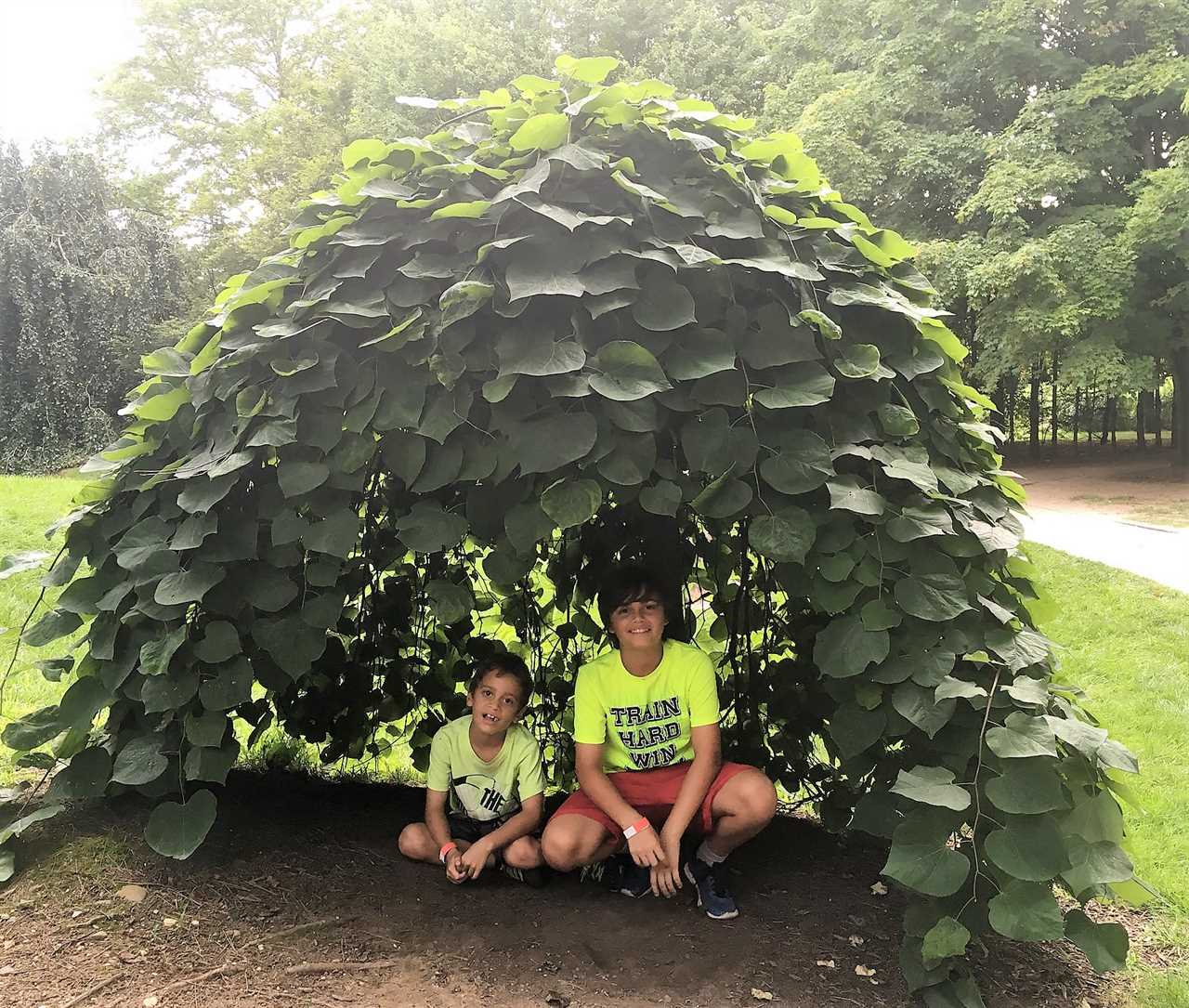 brothers bonding at Sculpture Garden