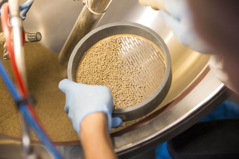 Someone holds a circular tray with hundreds of small, coated seeds.