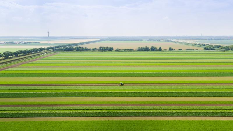 A large farm that has dozens of strips of alternating crops. There’s a small tractor in the center of the photo.