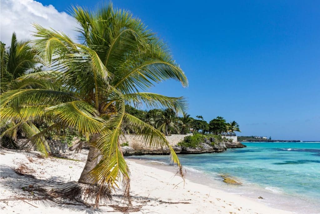 9 Best Beaches on the CAYMAN ISLANDS You Must Visit in 2023