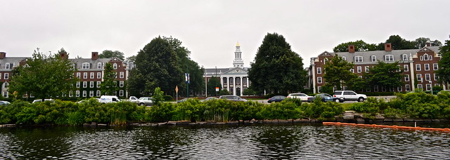 view of harvard university from a boat cruise in boston