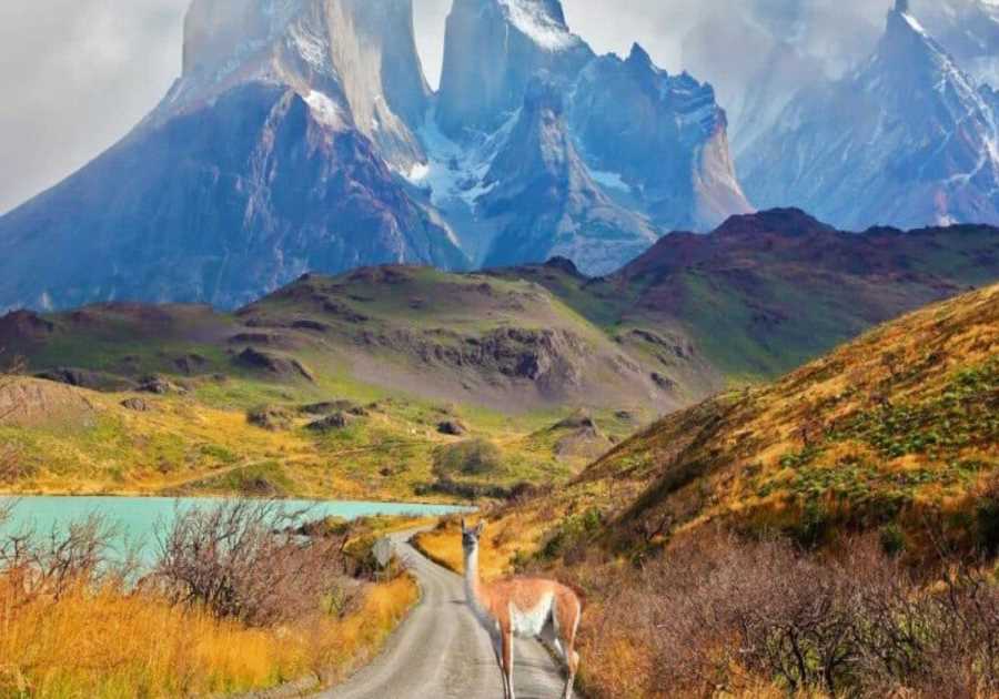 Chile: Is it Safe? Travel Advisory 2023