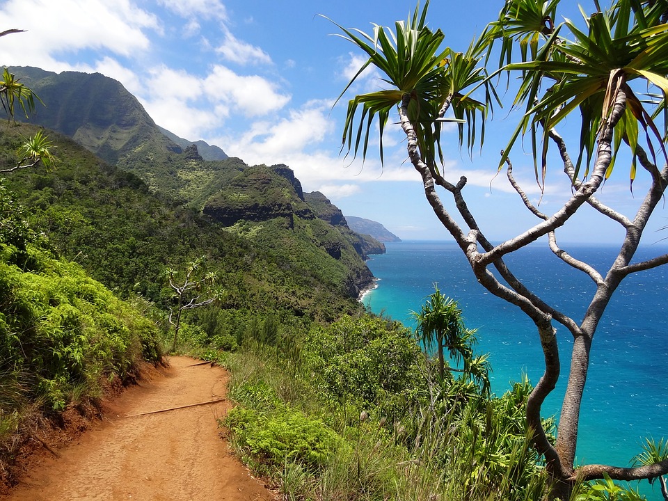 hiking trail in hawaii kalalau camping reservation